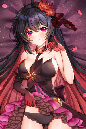 Дакимакура Honkai Impact Seele Vollerei